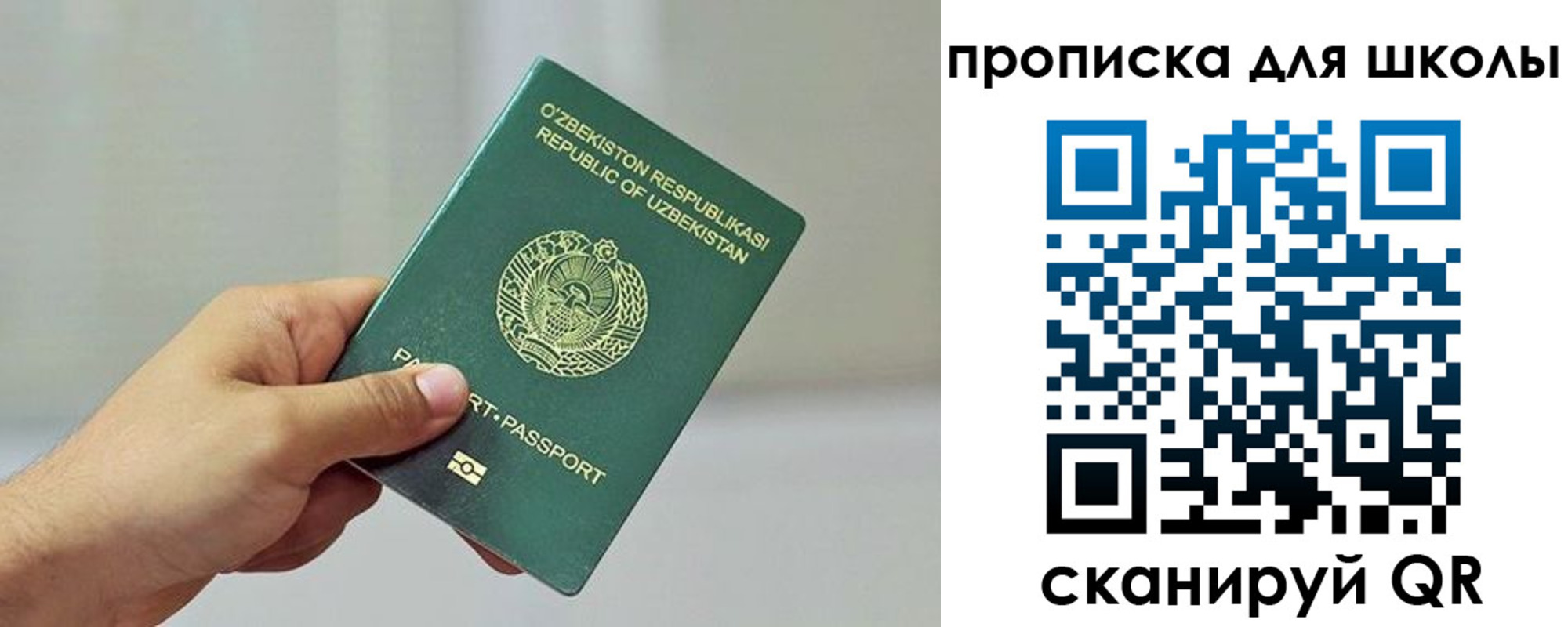 временная регистрация в Мурино
